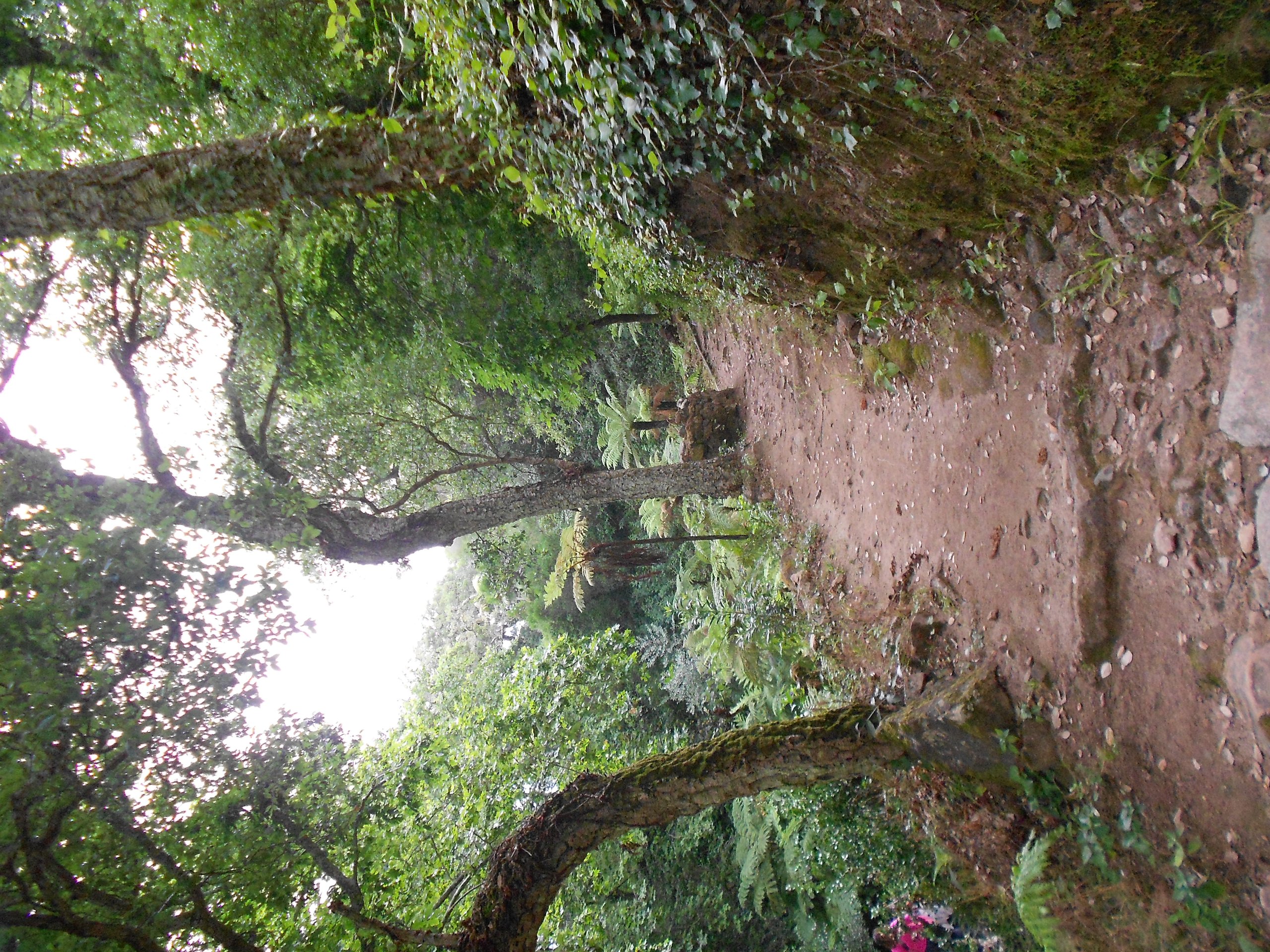 Viaje a Sintra Paisajes 067